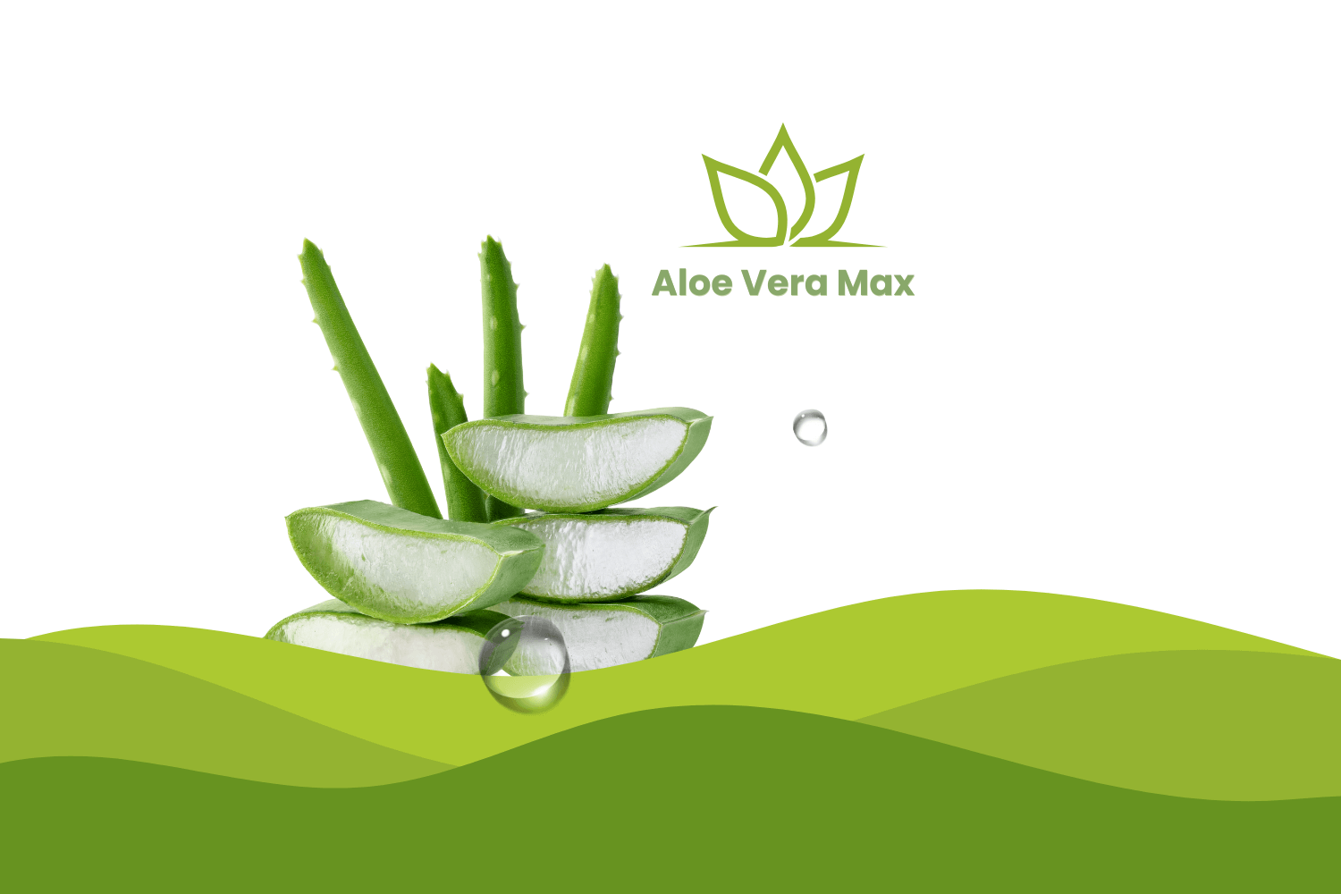 nfc-expertise-portfolio